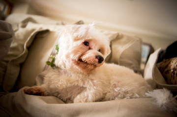 Tom-taylor-feature-wedding-photography - Matt Jorgensen Photography